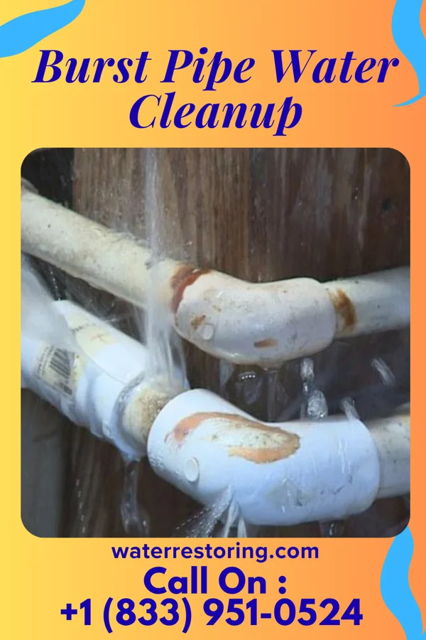 Burst Pipe Water Cleanup in Imlay City, MI
