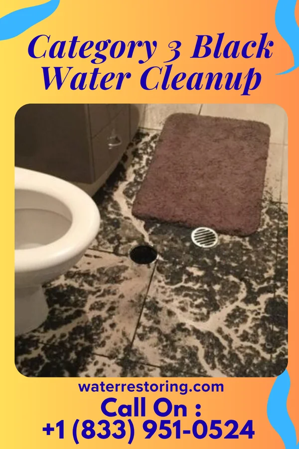 Category 3 Black Water Cleanup in Imlay City, MI