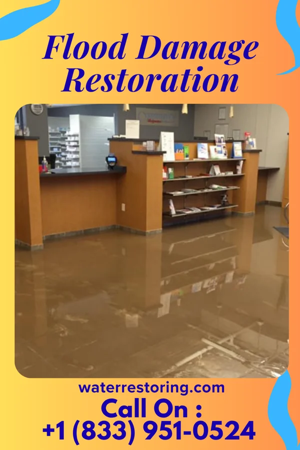 Flood Damage Restoration in Imlay City, MI