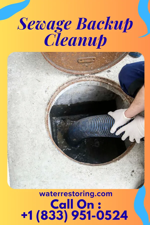 Sewage Backup Cleanup in Imlay City, MI