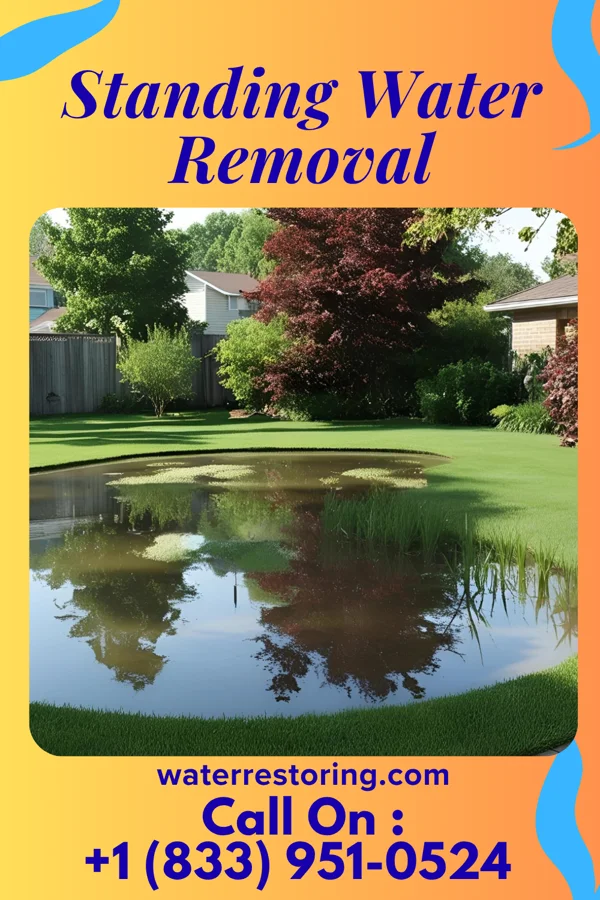 Standing Water Removal in Imlay City, MI